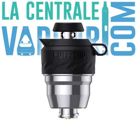 360MAX Puffco New Peak