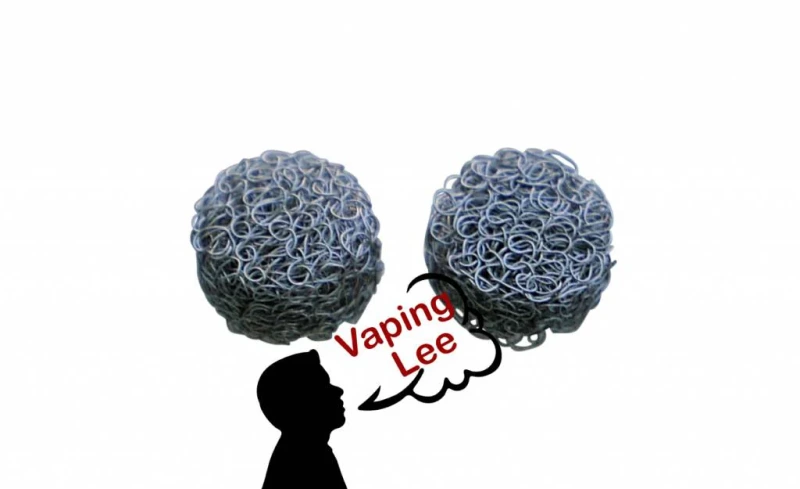 Boundless CFX Chamber Screens 2pcs