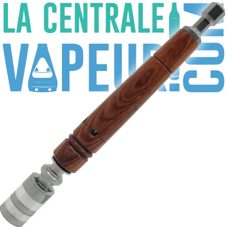 Dani Fusion Long Stem