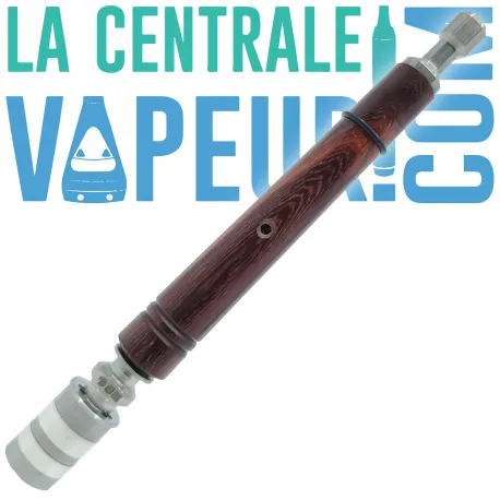 Dani Fusion Wood Stem