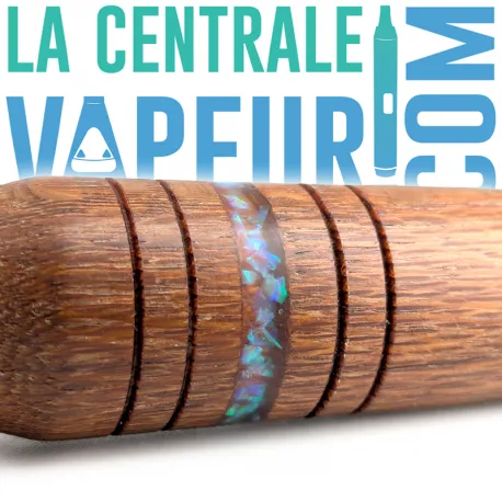 Stem in Roupala with glacier blue opal