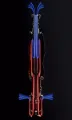 Battery-Free Ganz Dani Punch V2 Nahaufnahme