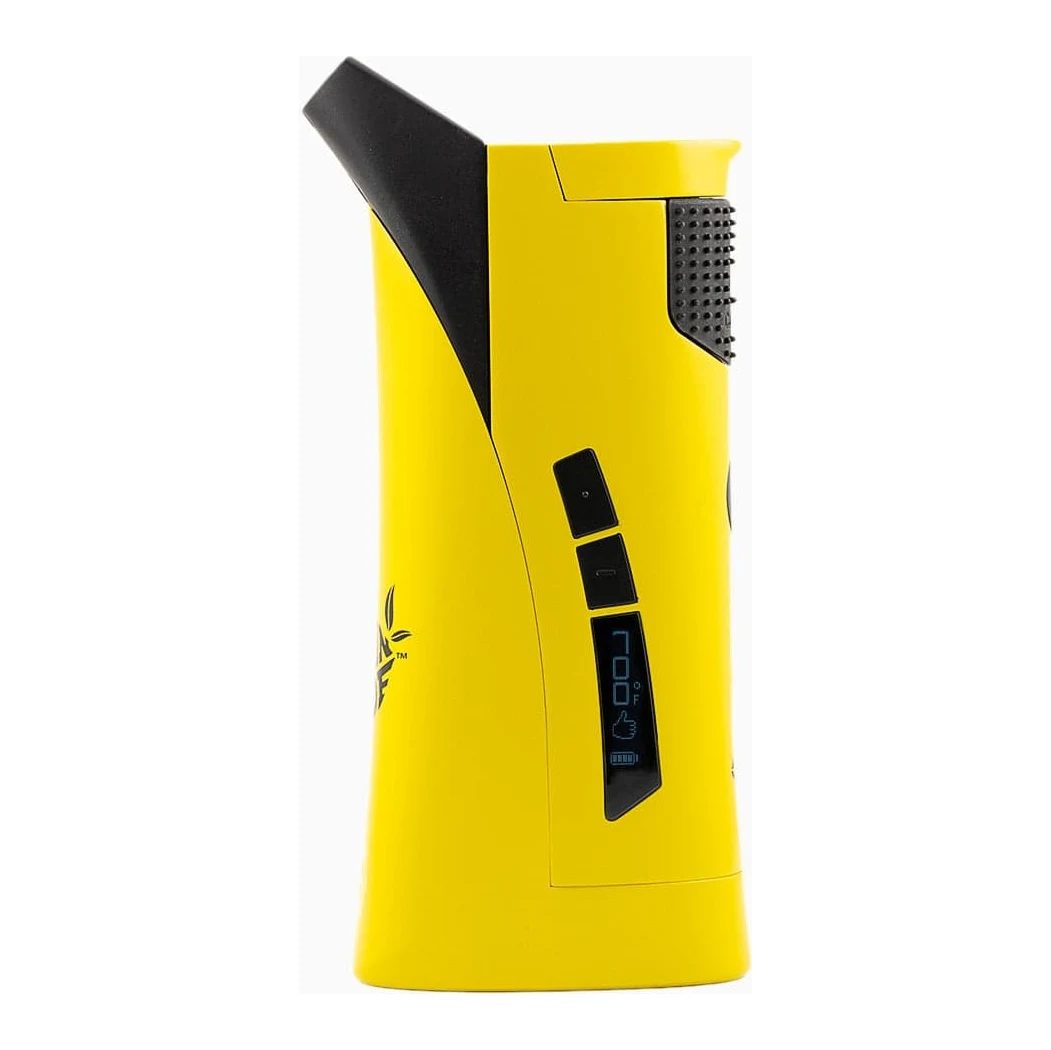 Lemonnade x G Pen Roam