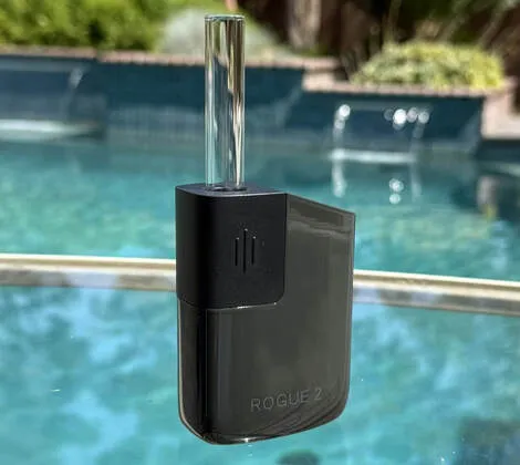 Healthy Rips Rogue 2