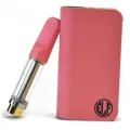 HoneyStick Elf Auto Draw Lieferumfang