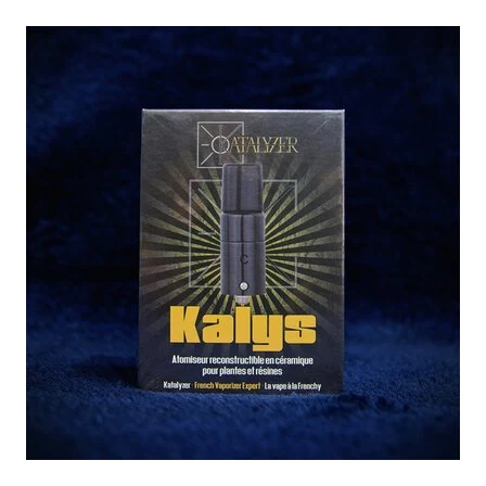 Katalyzer Kalys