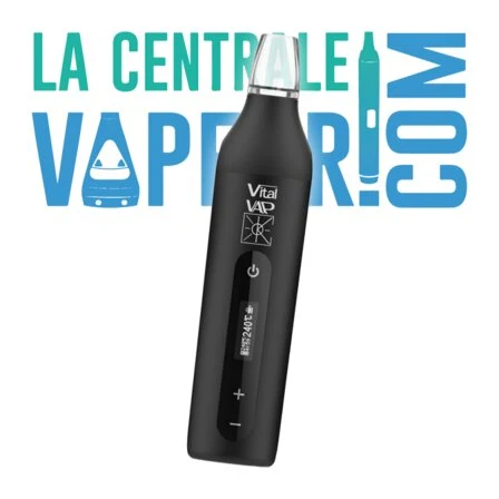 Vital V.A.P.