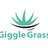Giggle Grass