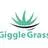 Giggle Grass
